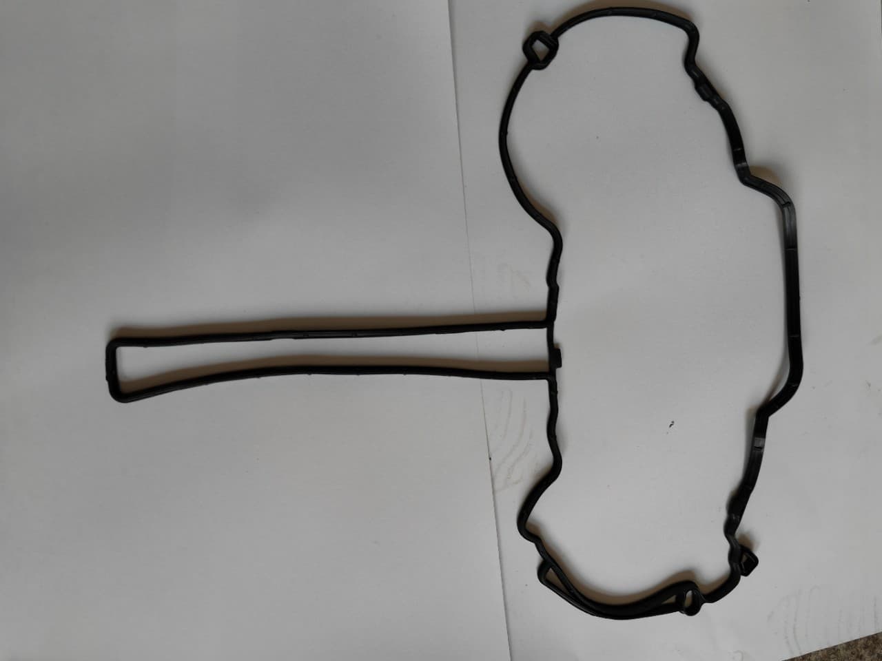 GM55573747 valve cover gasket.