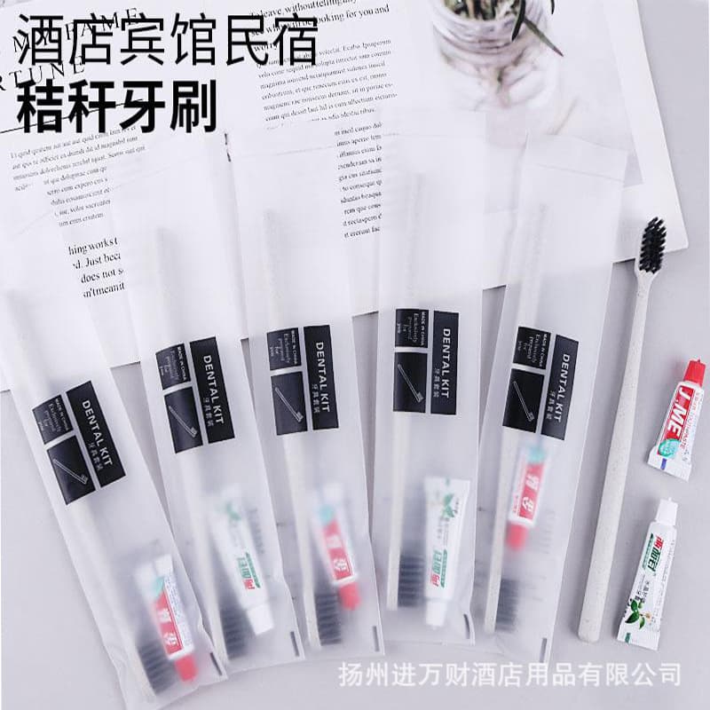 Wholesale Disposable Soft-Bristle Hotel Toothbrush Sets and Kits