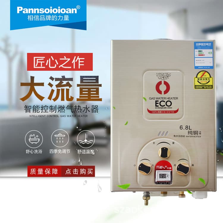 Manufacturer Supply Household Fast Bathroom Brushed Surface New Model Gas Water Heater, Full Copper Tank, Flue-Type Forced Exhaust