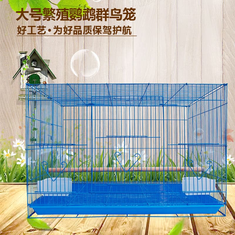 Foshan Manufacturer Exports Large Bird Cages for Breeding Parrots, Large Group Cages for Budgies and Pigeons, Square-Shaped Cages for Homing Pigeons, and Bird Cages for Large Flocks