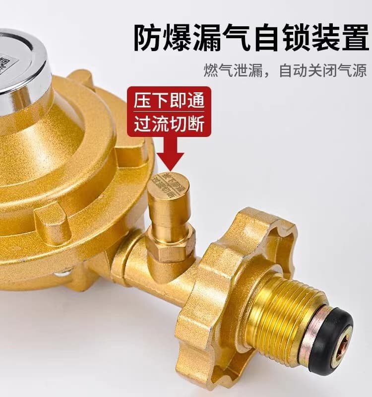 3YV54TF1 Dongjie Household New National Standard 0.6 Anti-Leak Self-Locking Low-Pressure Valve for Gas and LPG Explosion-Proof Reduction
