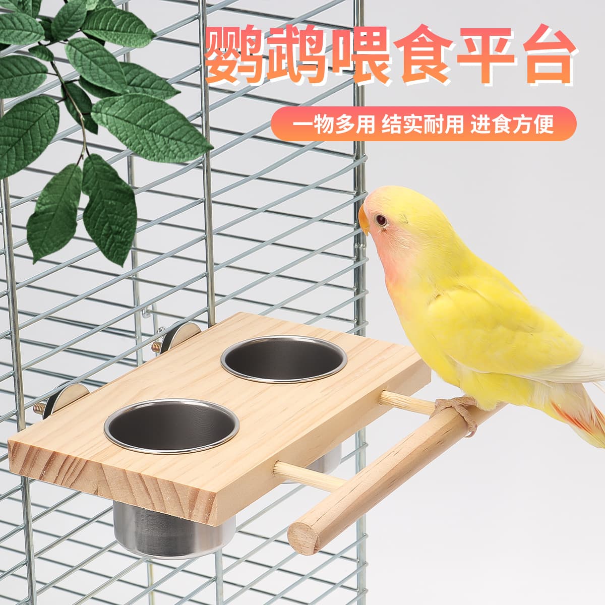 Parrot stainless steel bird food cup frosted standing rod food box tiger skin peony feed box bird cage accessories bird feeder
