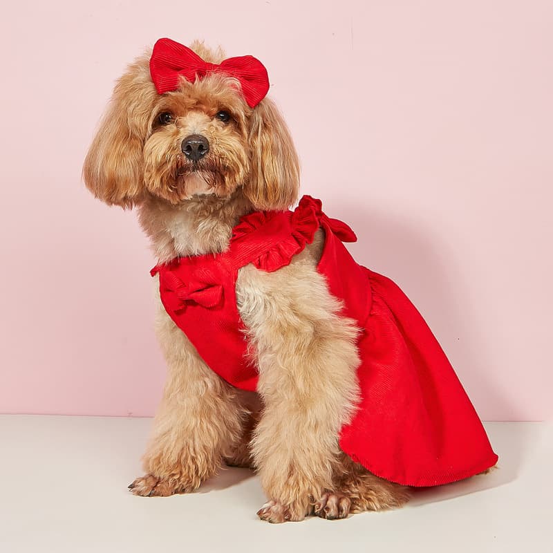 Amazon Best-Selling Cute Bow Dog Dress for Small Dogs Bichon Teddy Dog Clothes Source Factory