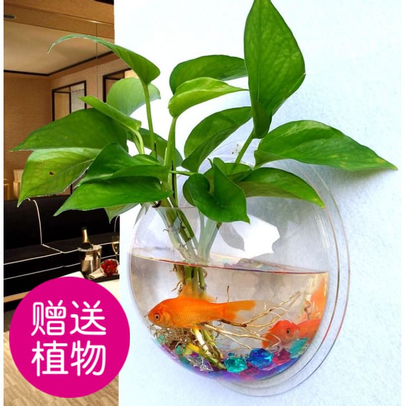 Acrylic Wall Hydroponic Green Flower Pot Bottle Wall Hanging Fish Tank Wall Decoration Restaurant Living Room Background Wall Flower Pot