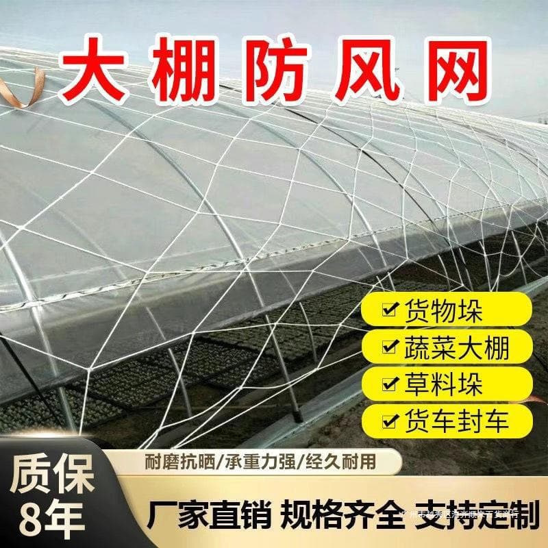 Greenhouse windbreak net protective net nylon net goods planting and breeding net large hole pressure film Rope Net wind net greenhouse net