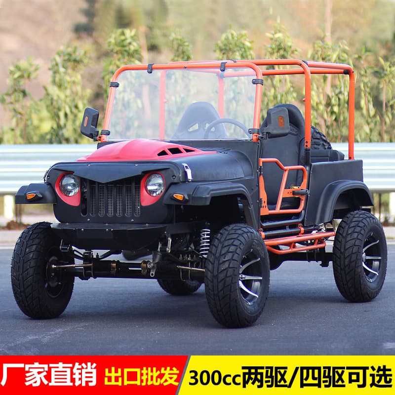 Beach Buggy 4WD Off-Road Large Adult Go Kart Electric Motorcycle 300cc UTV