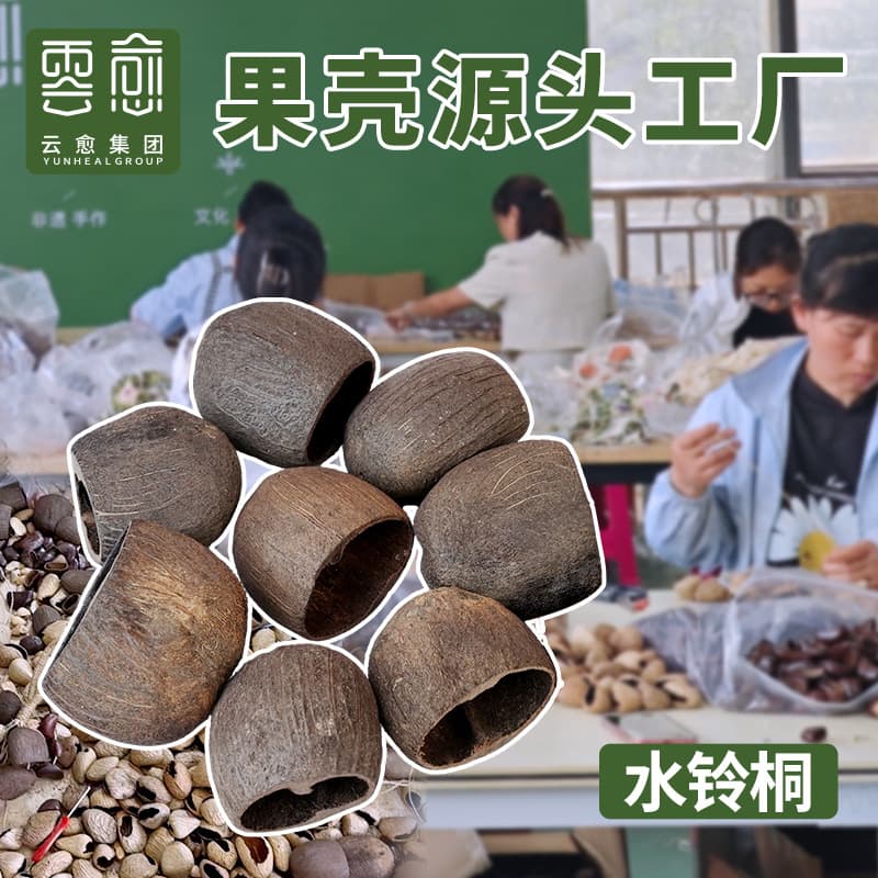 Water bell tung fruit shell wind chime hand-cranked bell raw materials DIY crafts baluster bell sound beam pendant fruit
