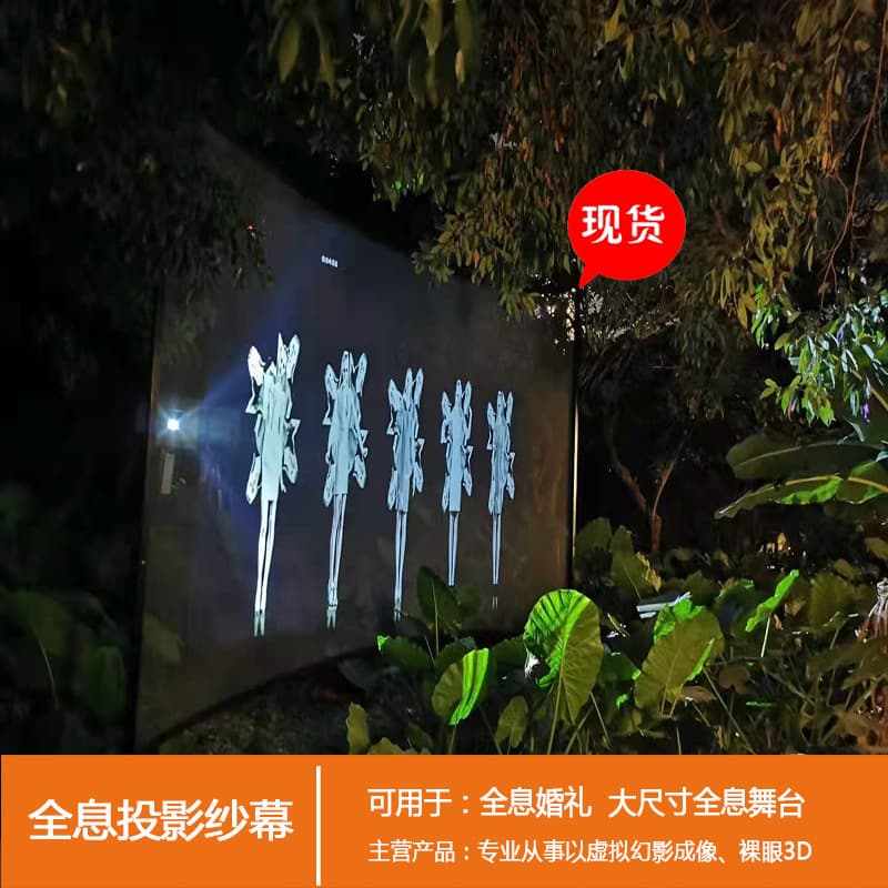 Holographic projection gauze 3D projection gauze round naked eye electric lifting wedding stage mesh projection gauze