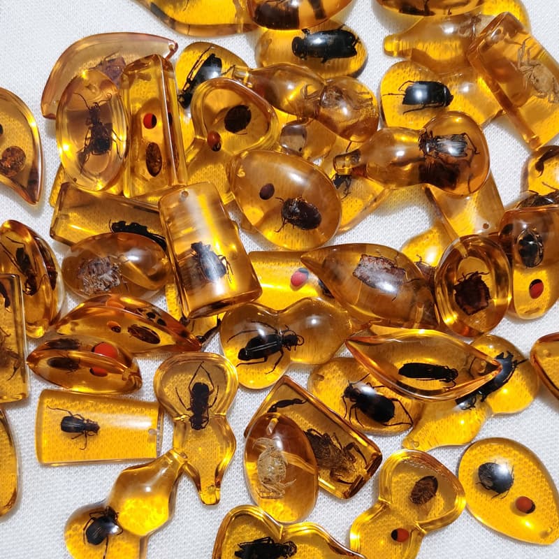 Real Insect Amber Accessories New Children's Digging Archaeological Blind Box Live Streaming Supply Factory Stock Resin Pendant