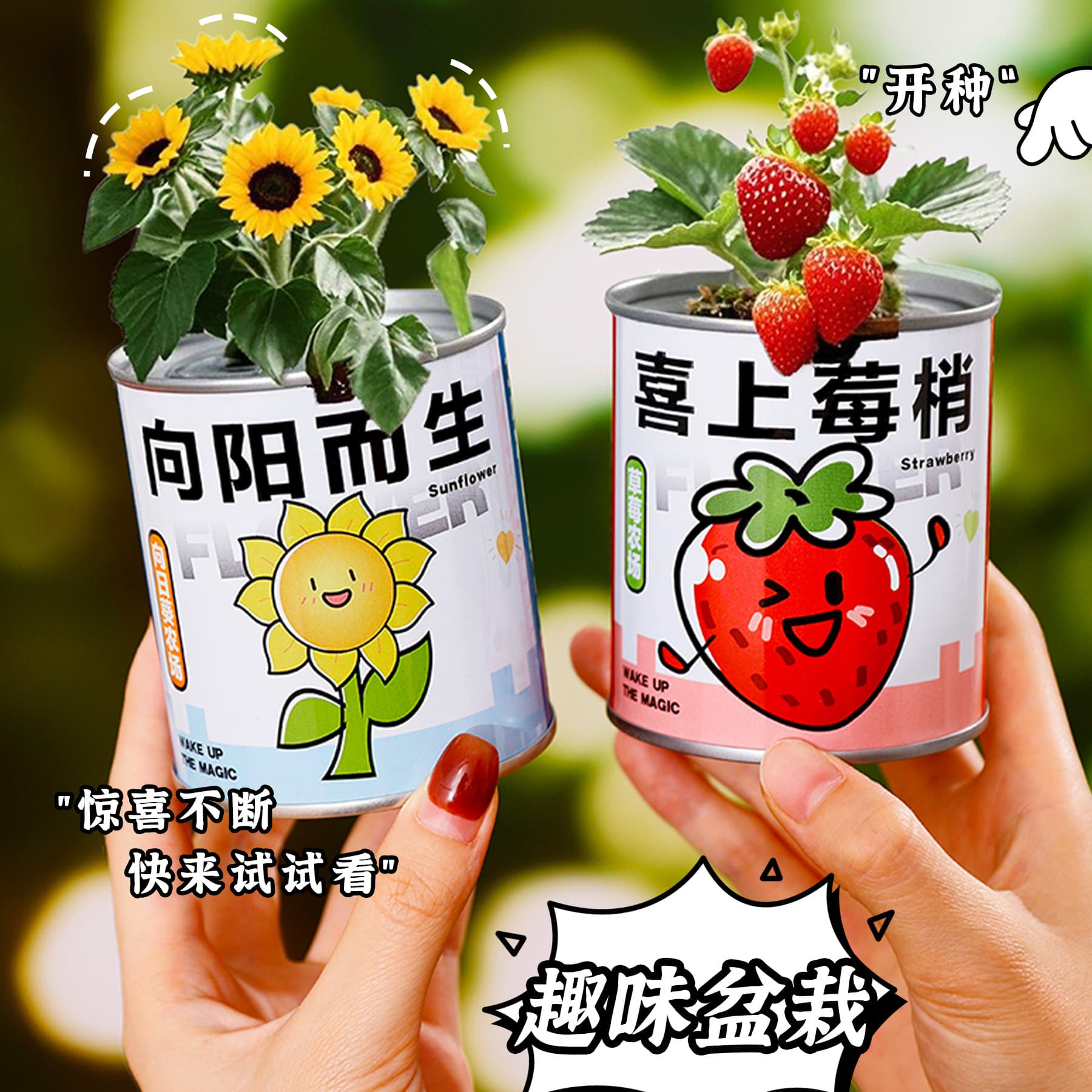 Children's inspirational planting of small potted plants, primary school students planting blind box gifts, creative handmade DIY plant canned potted plants