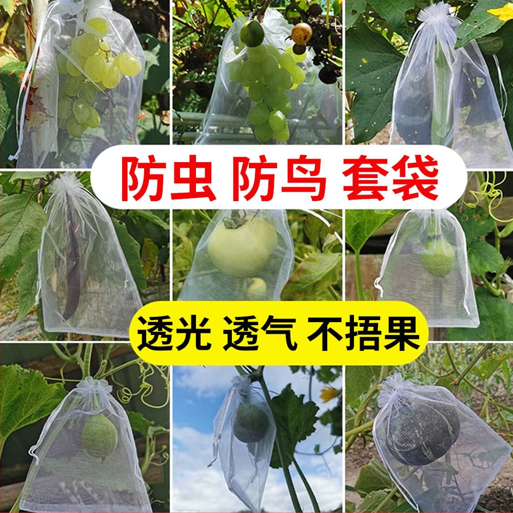 Fruit bag, breathable, light-transmissive, bird-proof and insect-proof mesh bag, grape strawberry, fig and pomegranate protective bundle bag