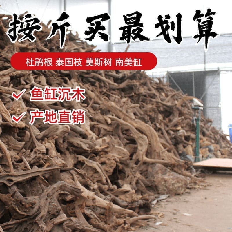 Driftwood Wholesale Aquarium Decoration Tree Root Landscape Moss Tree Water Rhododendron Root Nest Root Branch Root Tank