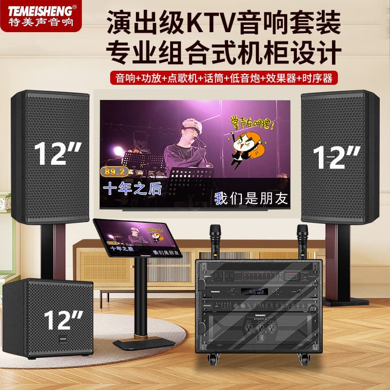 Temaisheng Home Theater KTV Audio System for Singing Karaoke Song Selector Heavy Bass K Speakers