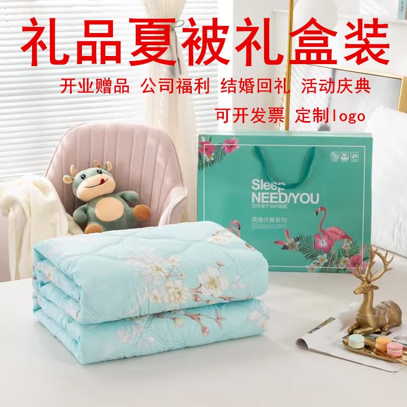 Summer Cool Blanket Promotional Gift Air Conditioning Blanket Gift Box Set Thin Summer Blanket Children's Gift Blanket Quilt Core Summer Quilt Wholesale