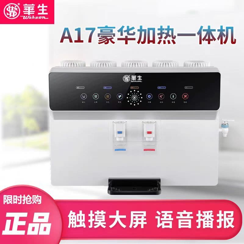 Huasheng Water Purifier Home Direct Drinking Voice Heating Integrated RO Reverse Osmosis Direct Drinking Machine Kitchen Pure Water Machine