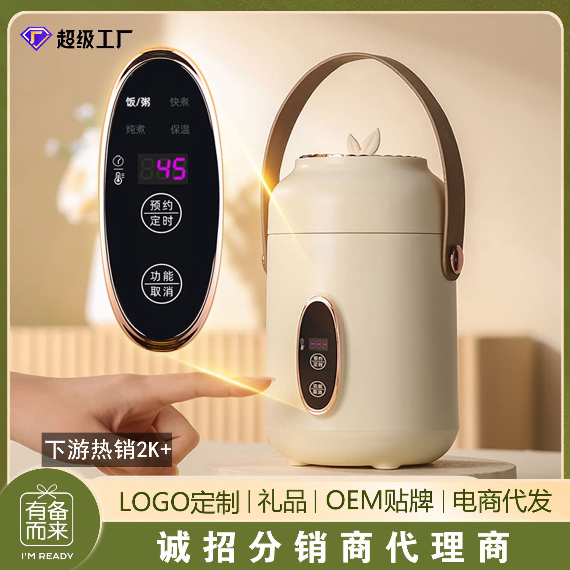 Portable Health Pot, Home Small Multi-functional Electric Stewing Cup, Office Automatic Porridge Cooker, Mini Portable