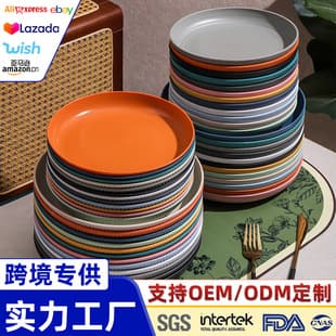 Amazon TK Wheat Straw Plate Hotel Serving Plate Fruit Plate Nordic Salad Plate Plastic PP Plate