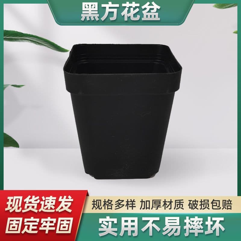 Black Square Flower Pot Gardening Supplies Succulent Black Square Pot Plastic Seedling Pot Wholesale Stock