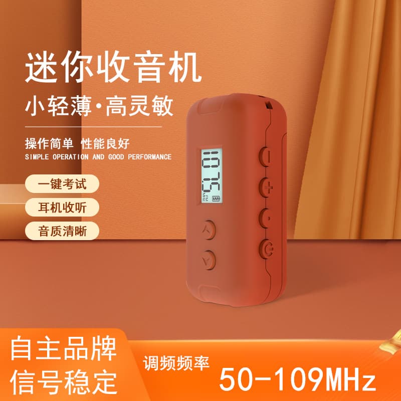 Baosheng-11 Mini Speaker Radio with Digital Display, Portable with Lanyard