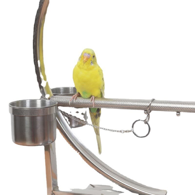 Parrot Bird Stand Cage Stainless Steel Perch for Cockatiels Large Parrots with Foot Chain Direct Sale
