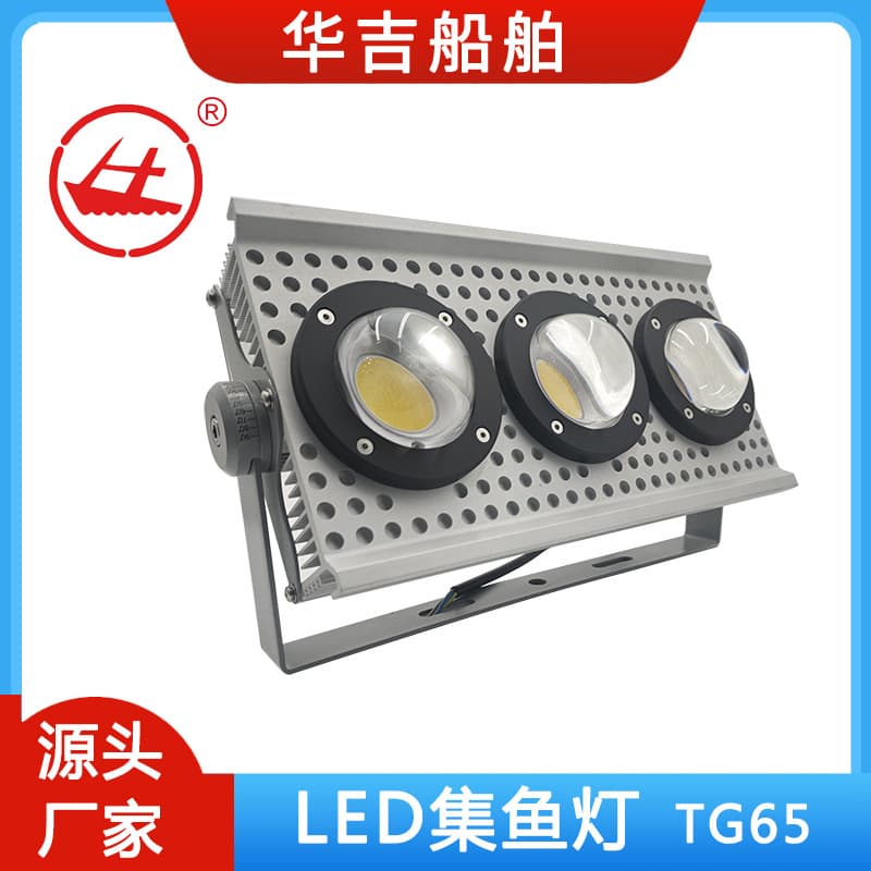 Huaji marine LED fish gathering light 300W high power fishing boat fish luring light fishing light COB fish gathering light TG65
