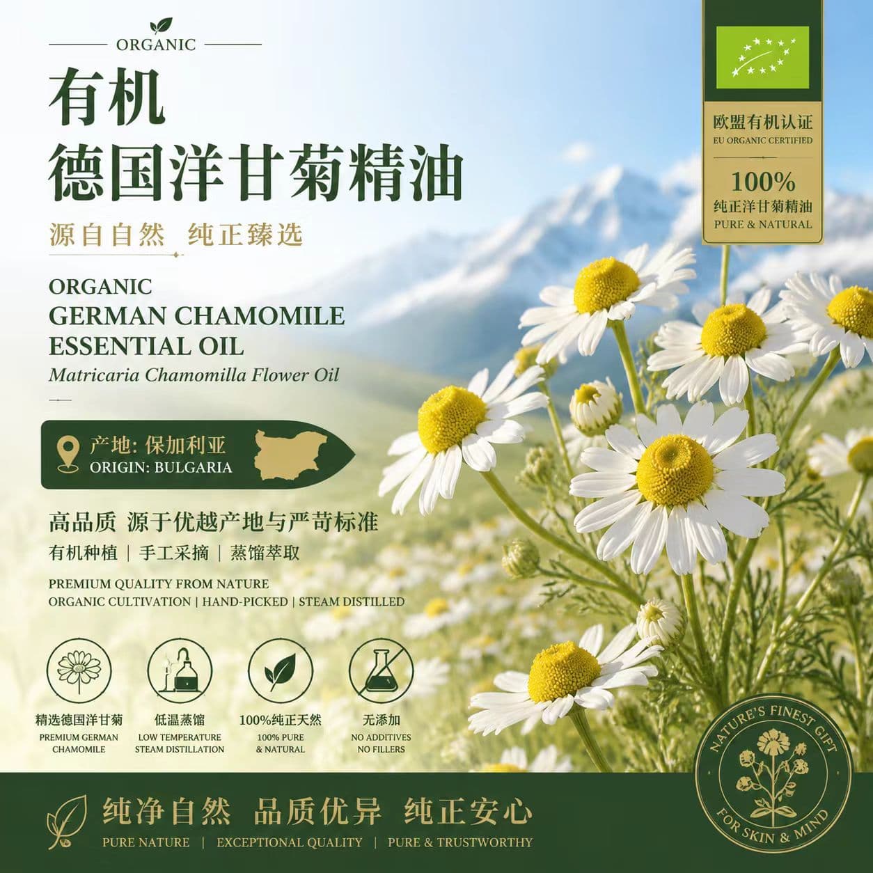 German chamomile essential oil Bulgarian organic essential oil massage essential oil raw materials wholesale industrial sampling use