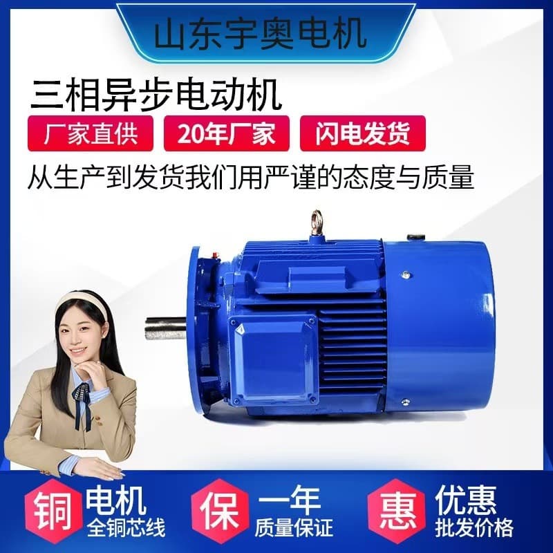 Supply YE3 Three-Phase Asynchronous Motor 380V 4-Pole AC Motor 1.1kw Copper Core Vertical/Horizontal Three-Phase Electric