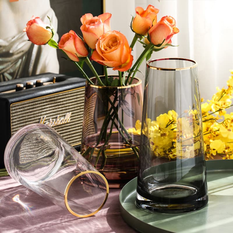 Nordic Gold-Rimmed Glass Vase Decoration for Living Room Flower Arrangement, Transparent, Creative, Simple, Modern Home Decor