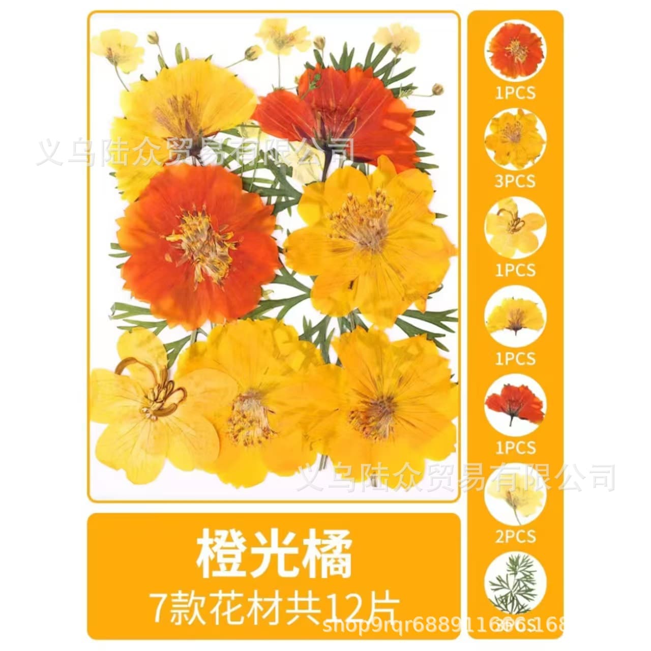 Pressed Flower Mixed Dried Leaves Collage Kit, Real Flower Plant Specimen for Handmade Resin DIY Craft Materials