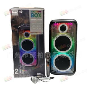 BTS GTS KTS Factory Wholesale BTS-2497 Dual 6.5-inch Bluetooth Speaker with 1 Wireless Microphone