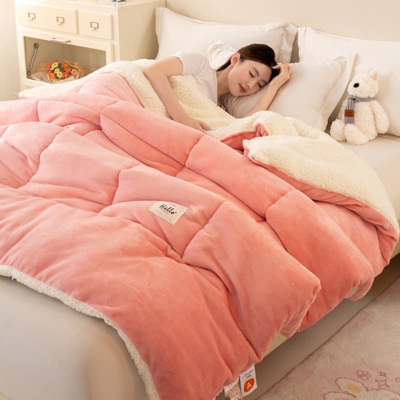 Wholesale of Winter Thick Snowflake Fleece Lamb Wool Blankets for Home and Student Dormitories, Single/Double Warmth Quilt Cores