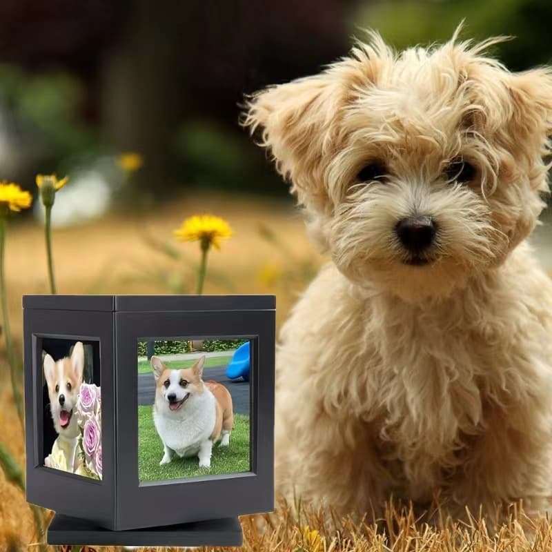 Cross-border wooden rotating frame pet memorial box for cat and dog funeral ashes.