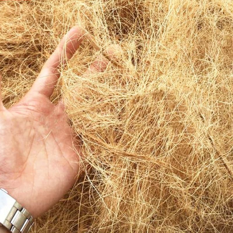 Coconut Coir Fiber for Greenery Cover, Potted Plant Mulch, Decorative Bird Nest Bedding, Breathable Grass Fiber