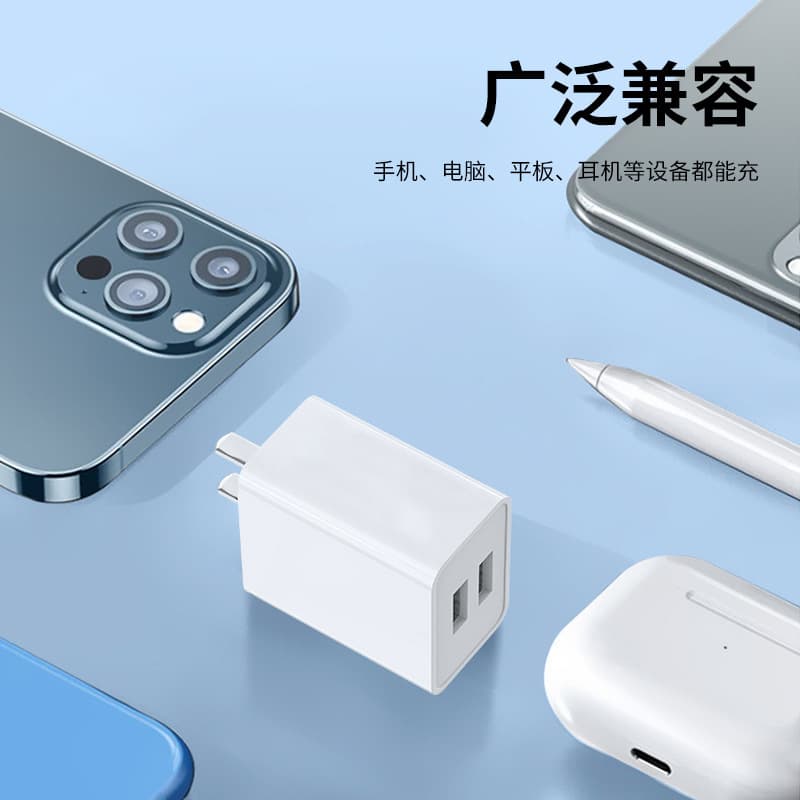 Dual USB, Single USB 2A Charger