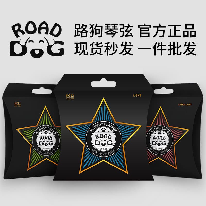 Lugou Folk Guitar Strings AC/KC Set, 6 Phosphor Bronze Coated Strings, Complete Set of Accessories for Acoustic Guitars