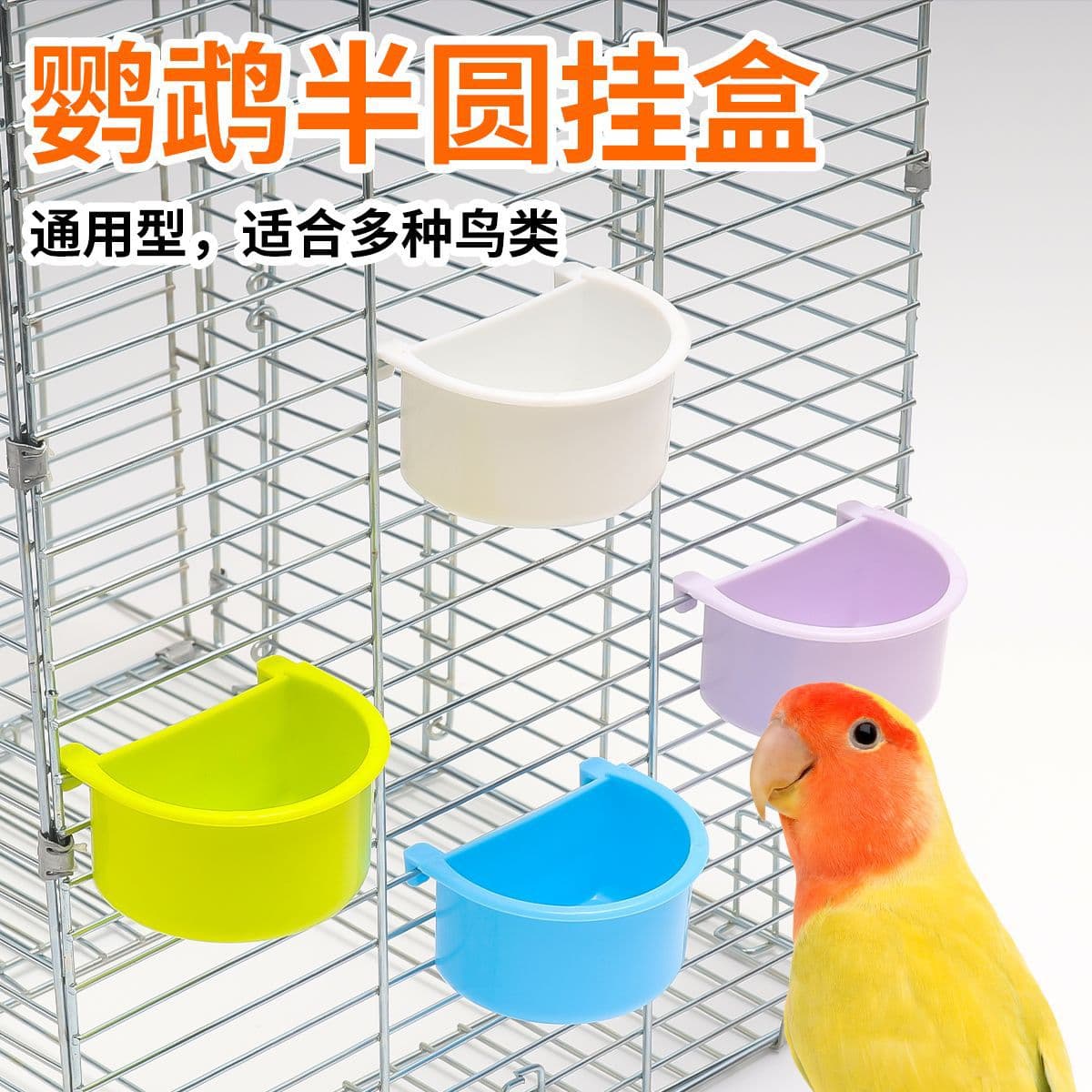 Budgie Parrot Feeder Bird Food Trough Inner Hanging Bird Feeder Bowl Half Round Food Box Bird Cage Accessories Bird Supplies