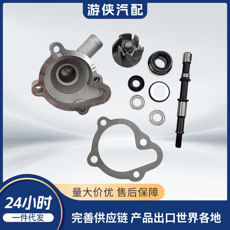 Water Pump Assembly ATV 250 Parts Water Pump Cover Shaft Oil Seal CF250