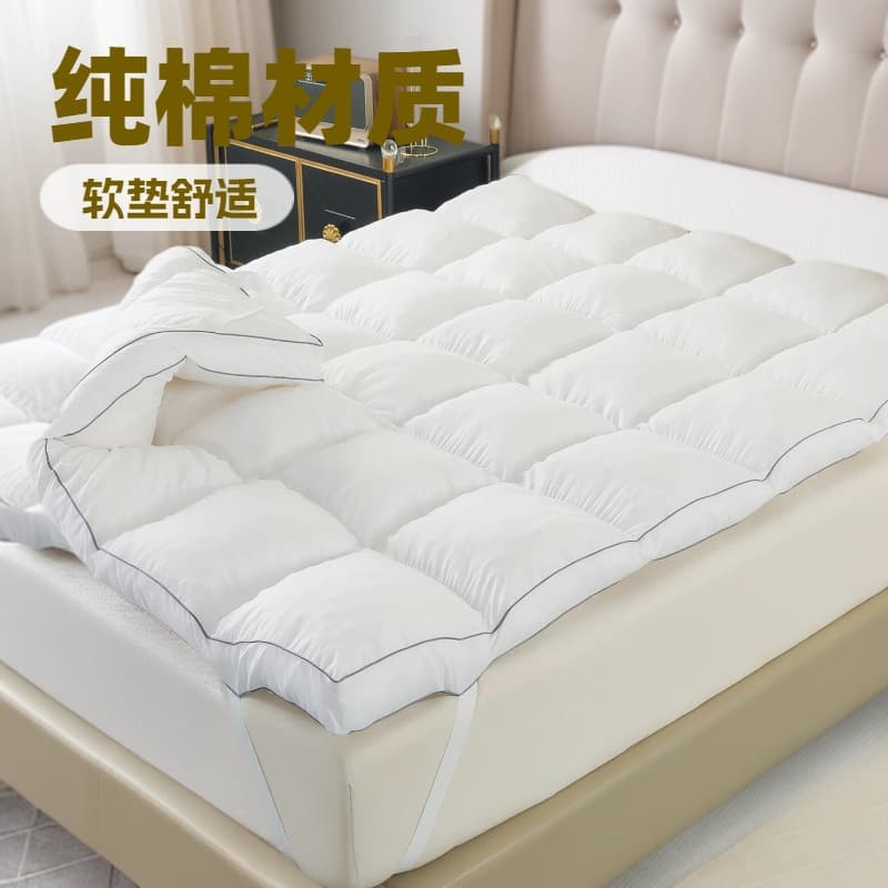 Down Mattress Five-Star Hotel Winter Extra Thick Double Layer Warmth Bed Mattress Pad White Goose Down Hilton Soft Pad