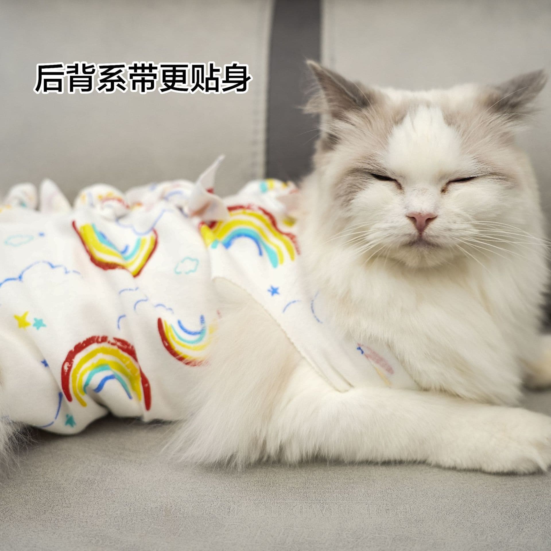 New Style Tie-On Spray Suit for Cats, Post-Surgery Recovery Garment, Weaning Suit, Cotton Breathable Post-Op Clothing, Factory Wholesale