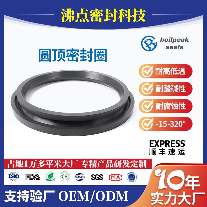 Feidian Fluorosilicone O-Ring Anti-Static O-RING Acid and Alkali Resistant Fluororubber Seal Ring