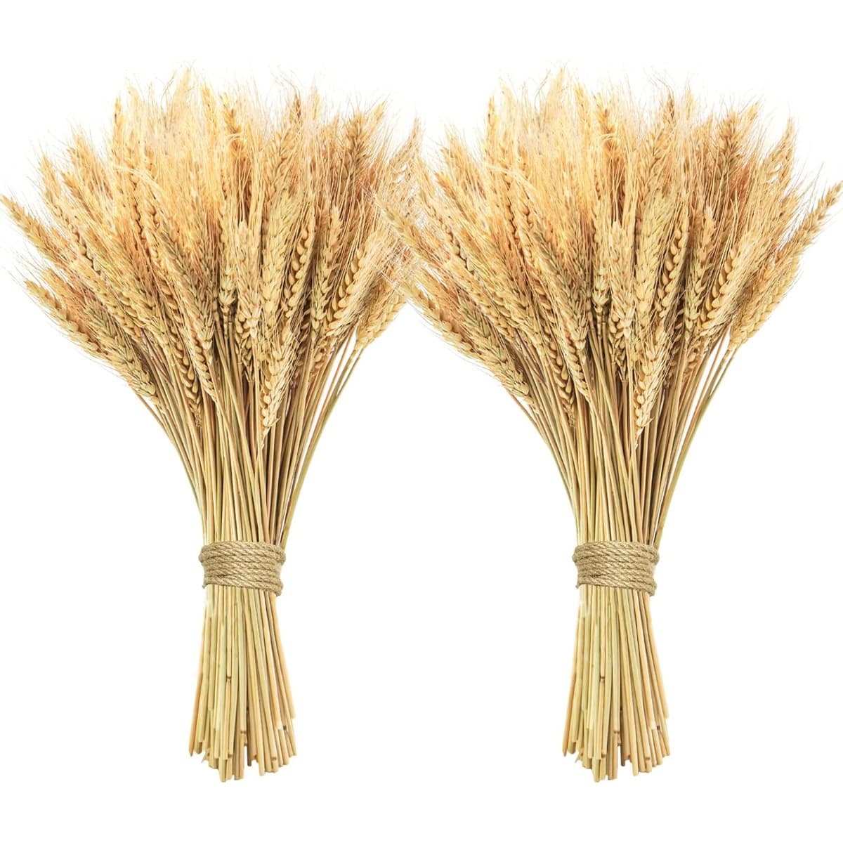 Cross-border Direct Ship Natural Dried Wheat Bouquet Golden Wheat Living Room Rustic Decorative Arrangement Photography Prop