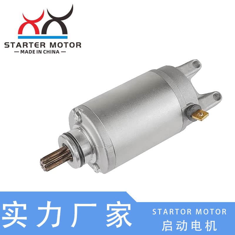 31100-10D00 Motorcycle Starter Motor Compatible with Suzuki GSF400 GSF600 750