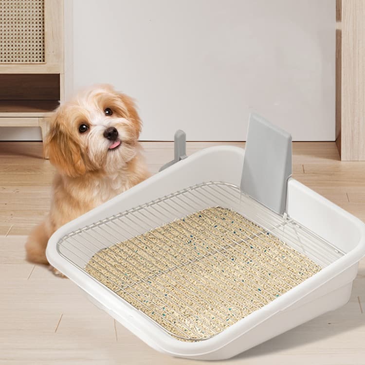 Stainless Steel Thickened Dog Toilet with High Guardrail and Wire Mesh, Large Size, Anti-Splash, Indoor Pet Supplies for Male Dogs