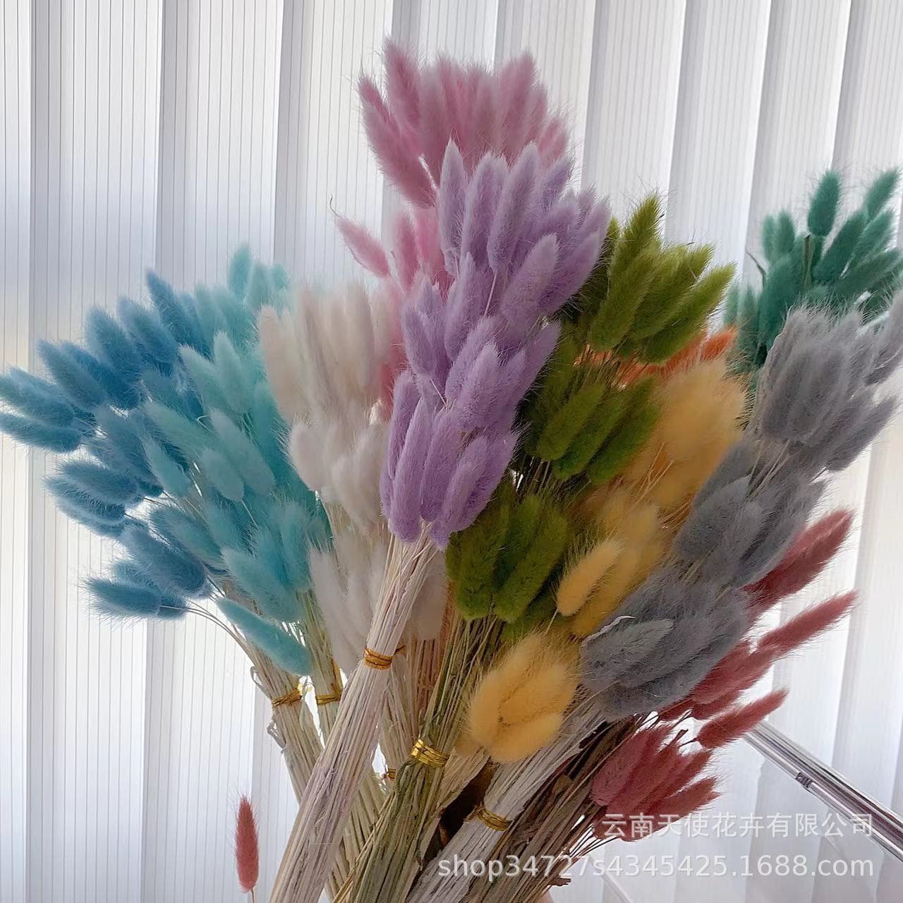 Cross-border Bunny Tail Grass Dried Flower Bouquet Real Foxtail Grass Living Room Decoration Home Wedding Everlasting Flower Wholesale