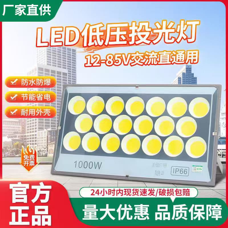 Yaming LED floodlight low voltage marine DC battery 12V24V36V100W battery outdoor waterproof floodlight