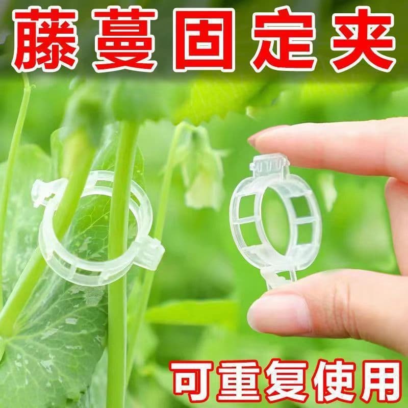 Plant Fruit and Vegetable Clips Plastic Vine Ties Branch Clips Hanging Vine Clips Support Clips Tomato Clips