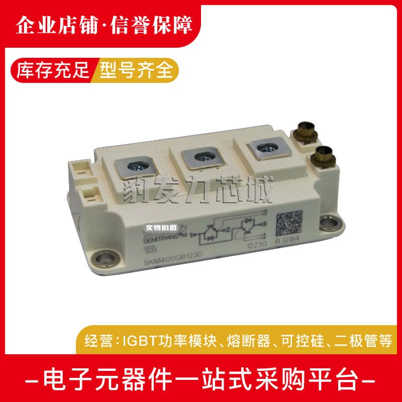 SKM400GB12T4 450GB/GB12E4/GB123D/GB124D/GB126D Power IGBTs