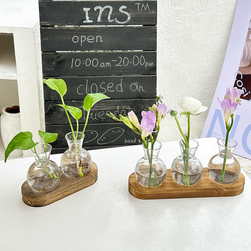 Ins Style Wooden Frame Hydroponic Transparent Vase for Pothos Plants, Creative Decoration for Living Room, Office Desk