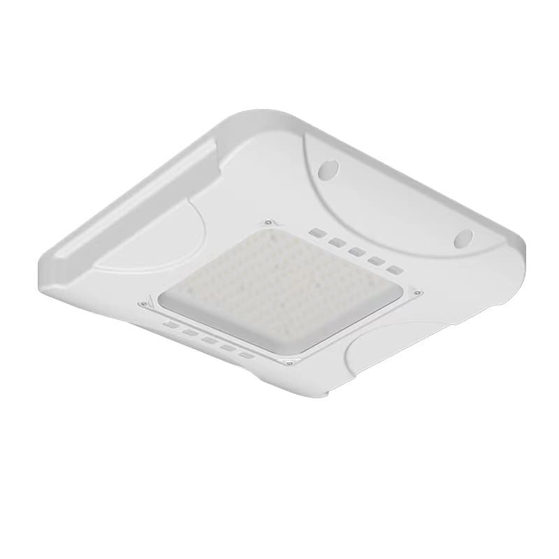 CETL SAA CB Europe Australia USA Canada 100W Paint Factory Grain Depot Oil Depot Gas Station Light Waterproof