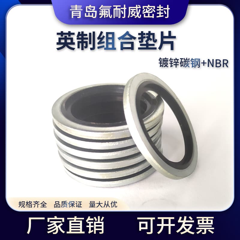 Nitrile BS/AG environmentally friendly white zinc BS self-centering combination gasket for oil pipe sealing / NBR